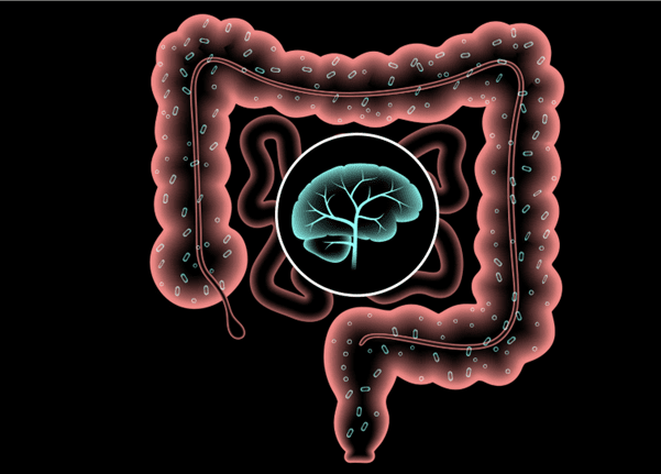 The Gut-Brain Connection